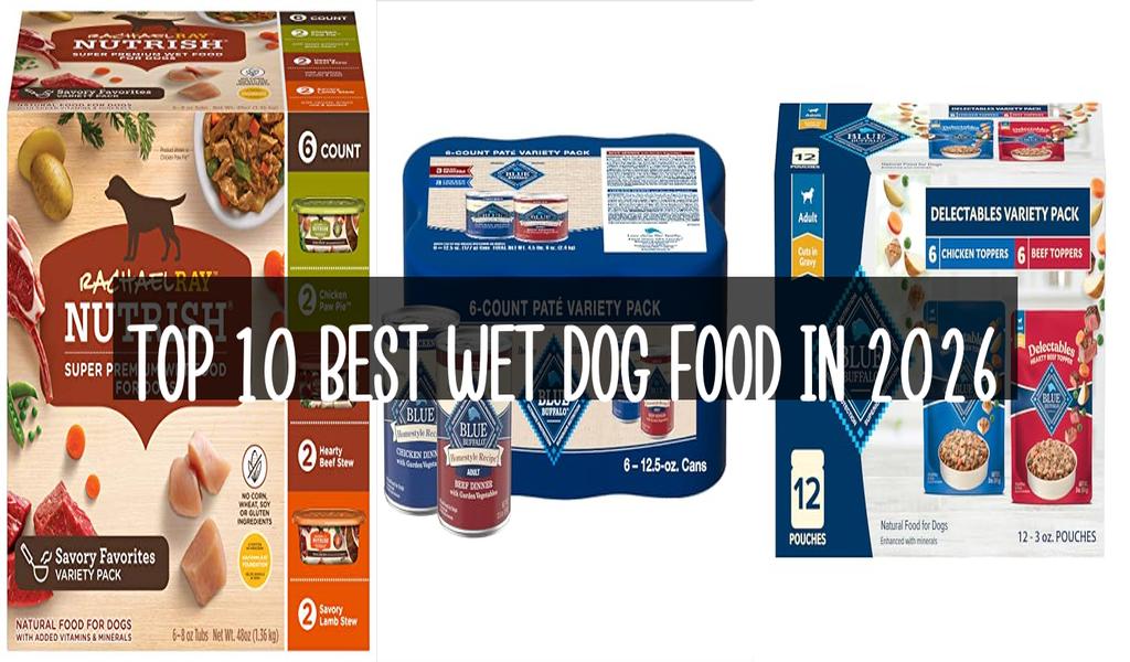 Top 10 Best Wet Dog Food in 2026