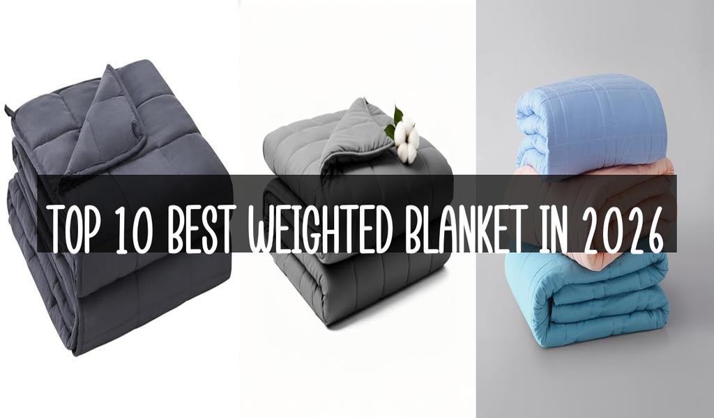 Top 10 Best Weighted Blanket in 2026