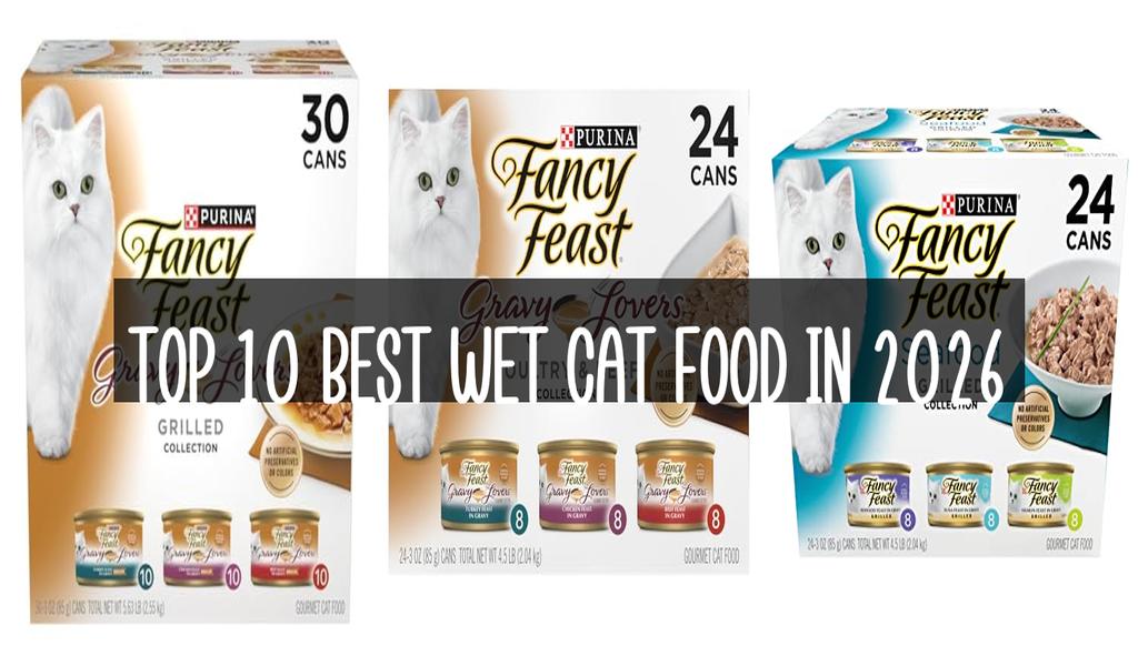 Top 10 Best Wet Cat Food in 2026
