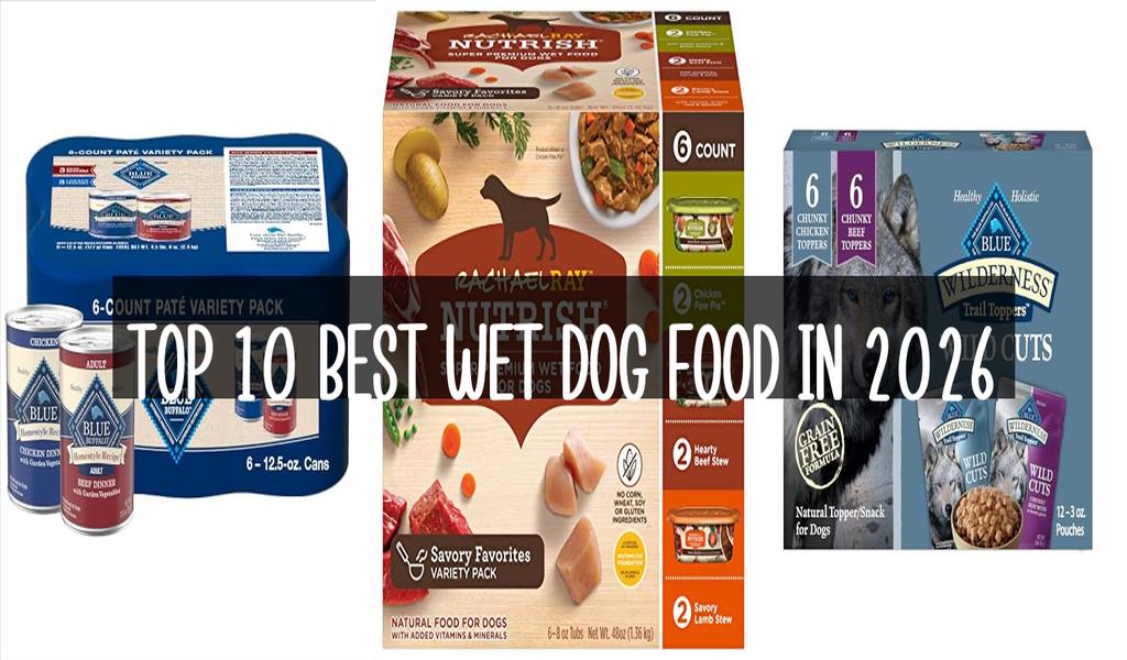 Top 10 Best Wet Dog Food in 2026